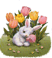 bunitulps.gif (21675 bytes)